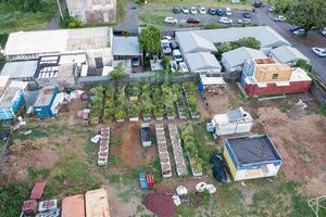 Potager fev 2023.jpeg